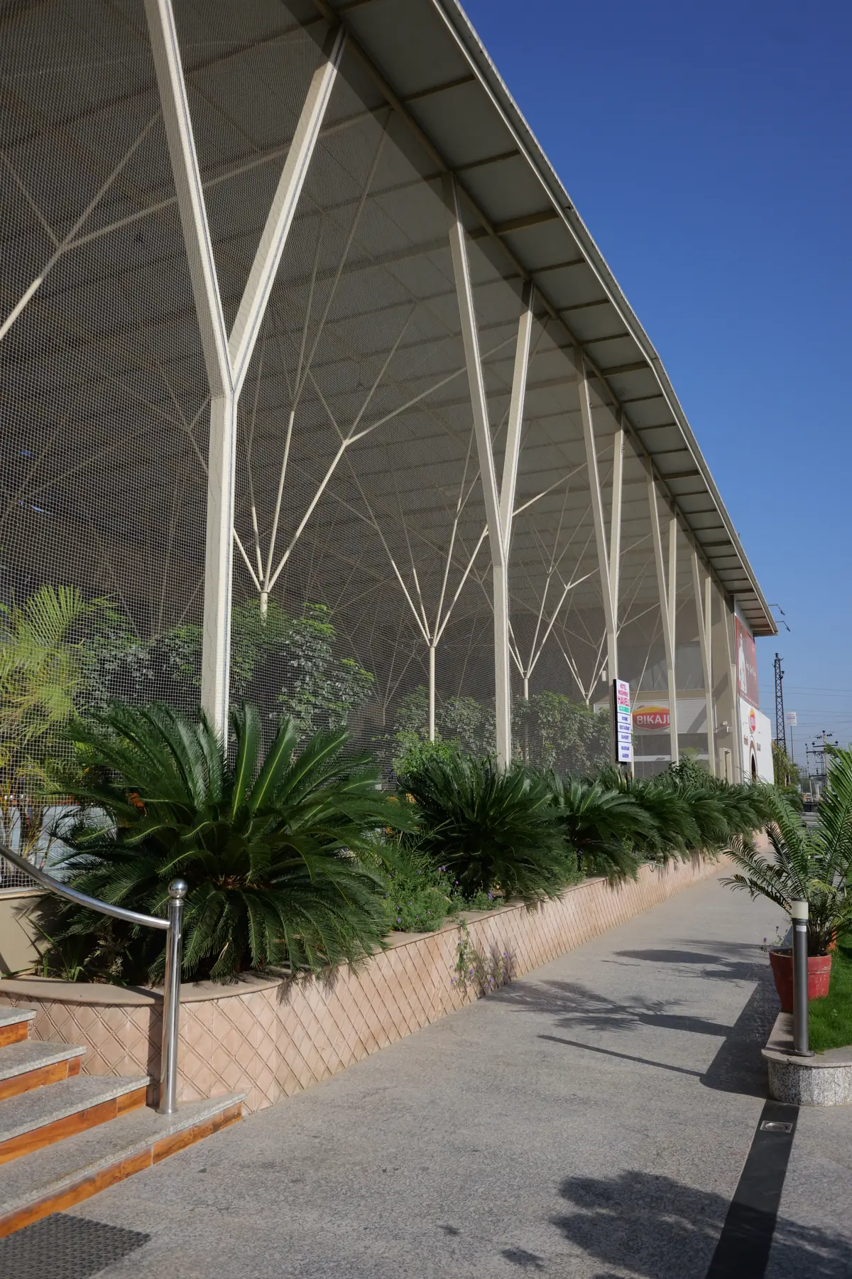 Tree-like steel canopy columns